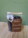 Baies d'aronia